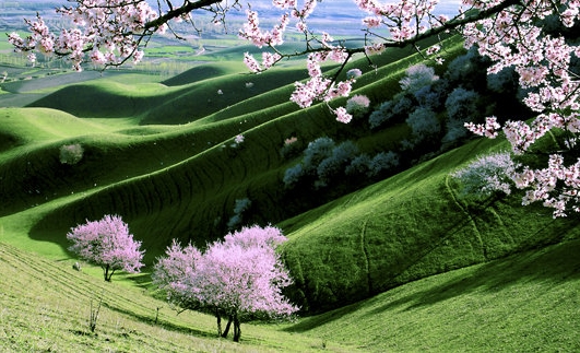 粉象生活升级后大概几天才看到收入