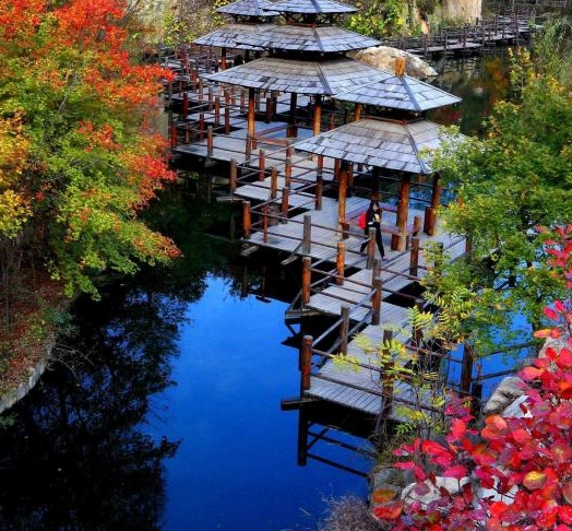 粉象vip是永久的吗