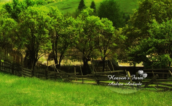 粉象生活邀请码