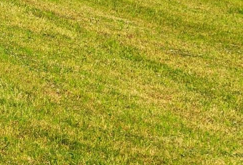 宿迁粉象生活收入