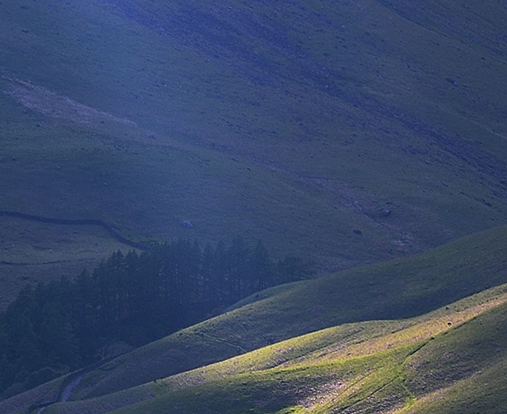 粉象生活真实收入