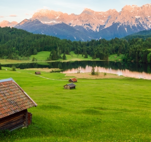 粉象生活收费吗