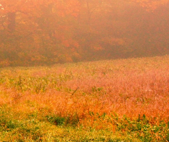 粉象生活卖货佣金