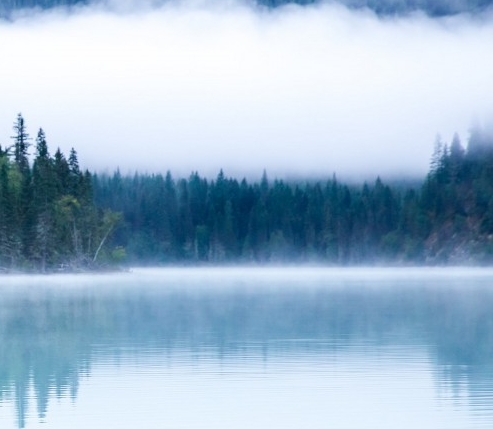 粉象生活完整布局