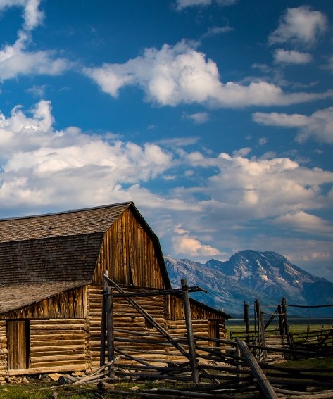 辽宁一站式粉象生活软件