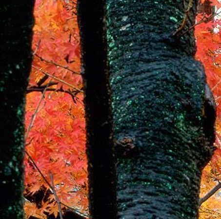 在铁岭生活怎么样