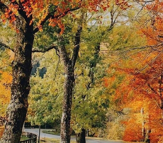 粉象生活是什么软件