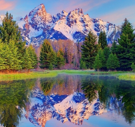 粉象生活logo名称