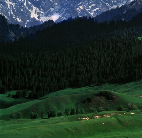 绵阳粉象生活推广