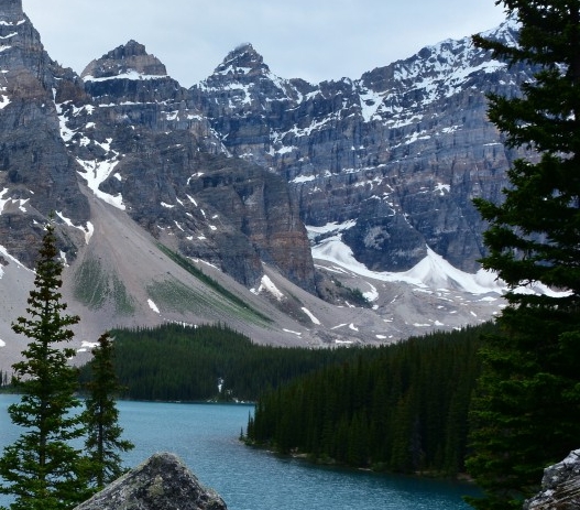 粉象生活怎么付费