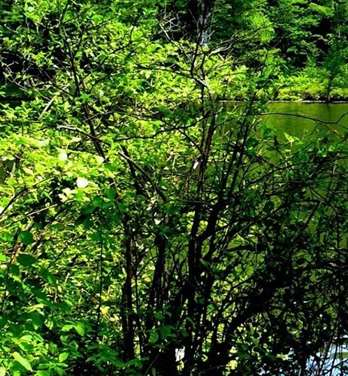 粉象生活可以直接开店吗