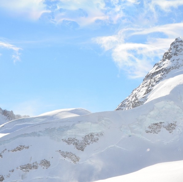 粉象生活怎么赚取佣金