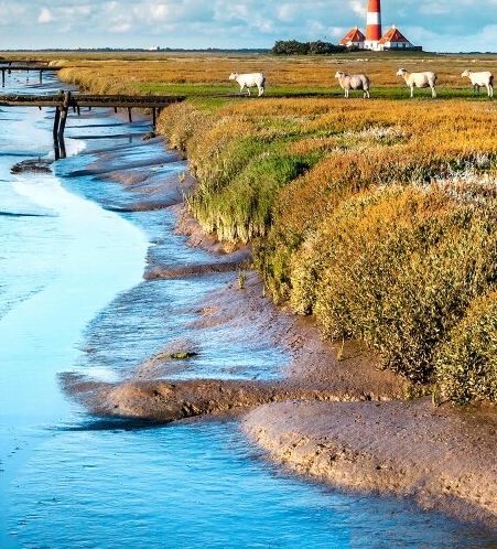 粉象生活app官方网站