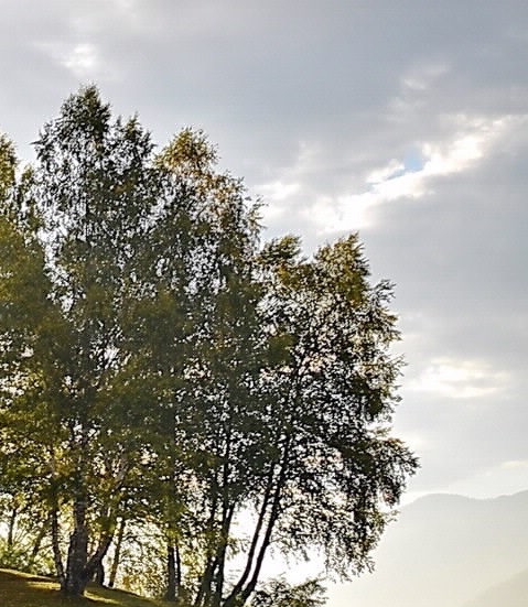 粉象生活是骗人的吗