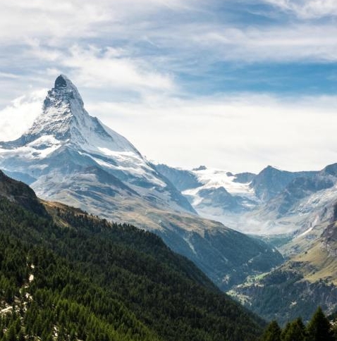 深圳粉象生活能拿几代佣金