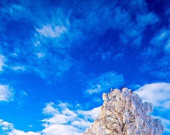 粉象生活怎么进入团队