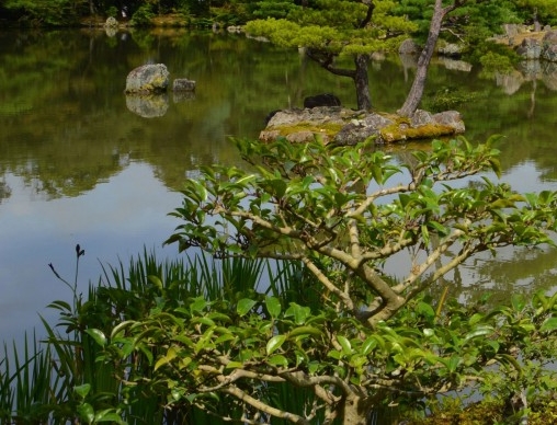 湛江粉象生活vip