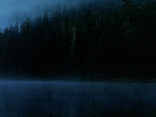 粉象生活邀请码