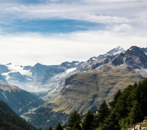 粉象生活是正规平台吗