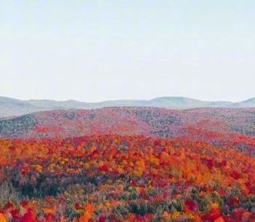 粉象生活可以赚钱吗