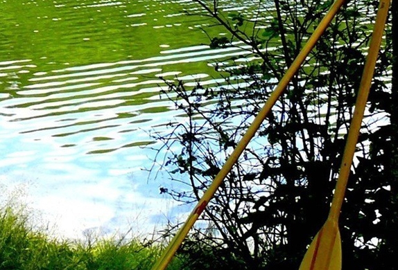 潍坊粉象生活电话