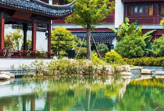 粉象生活邀请码