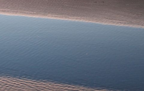 绥化政府招标网