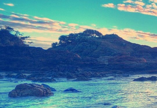 粉象生活下载app