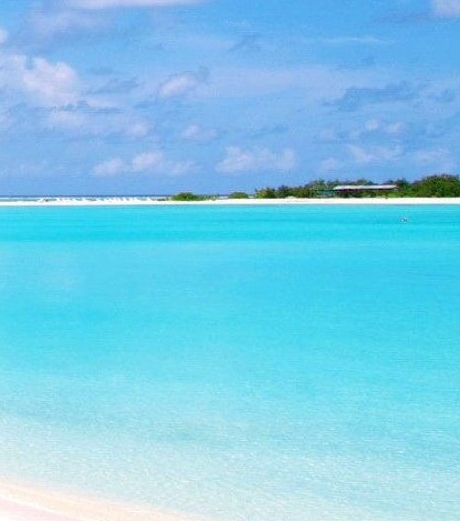 粉象生活购物返利