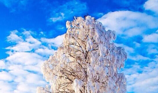 安徽正规粉象生活