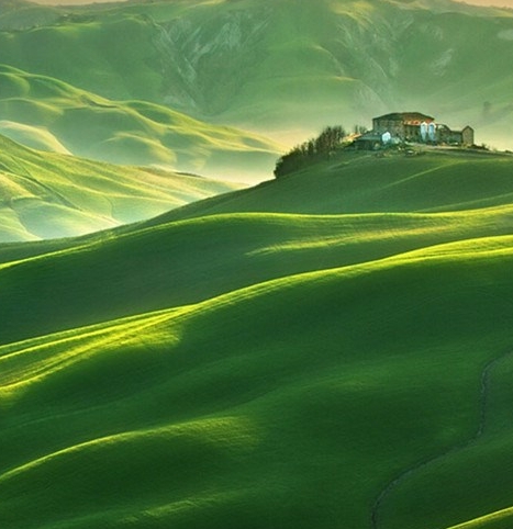 创业心得体会感言