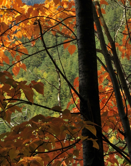 粉象生活抽奖活动