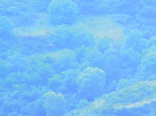 粉象生活平台合法