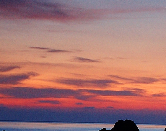 阳江粉象生活代理