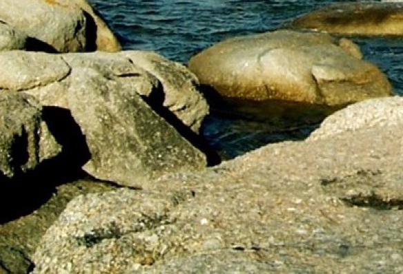 粉象如何删除邀请人