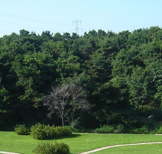 粉象生活瓜分现金是真的吗