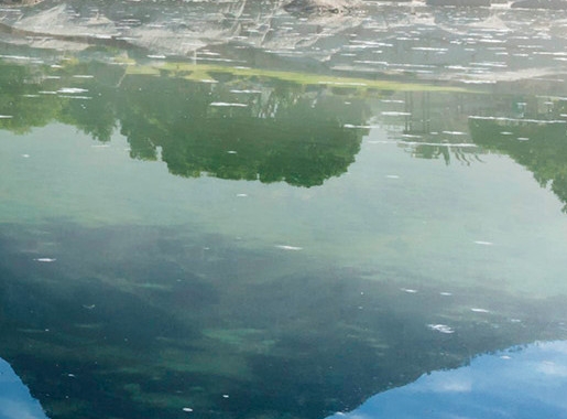 粉象生活推广文章