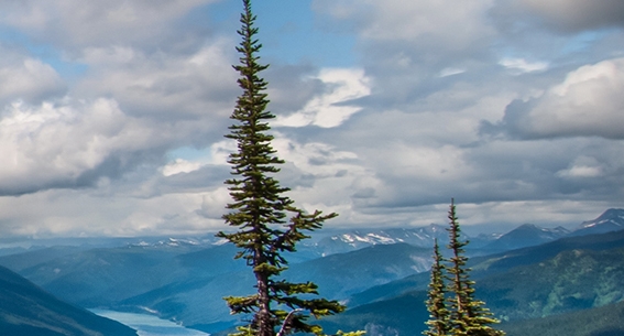 粉象生活是什么东西,真的靠谱吗