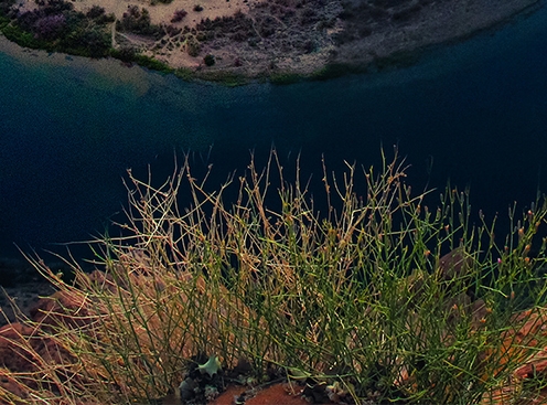 李红星 粉象生活