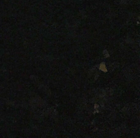 日照粉象生活收入