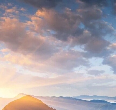 粉象生活限时优选