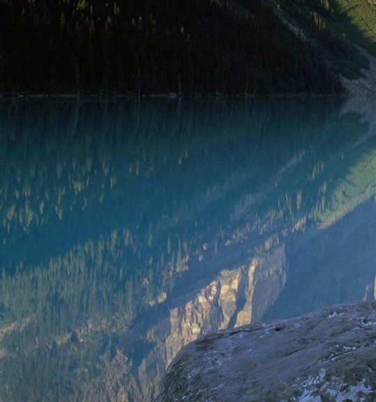 粉象生活邀请码