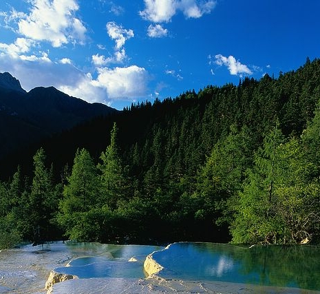 粉象生活账号转让