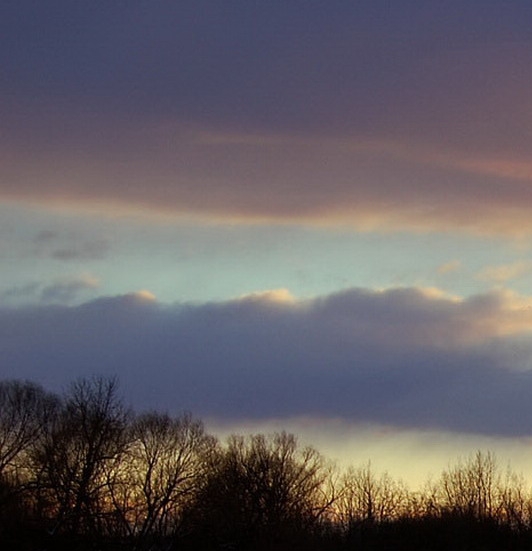 粉象生活是个什么东西