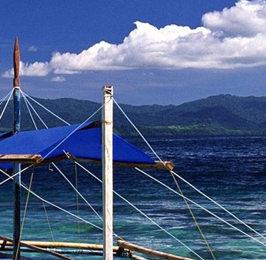 江苏粉象生活app