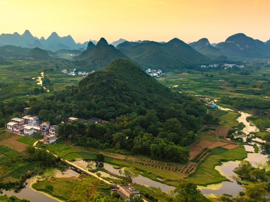 粉象生活广场月季