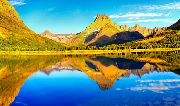 粉象生活礼物视频