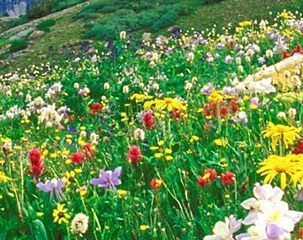 粉象生活赚钱教程