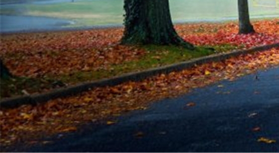 金华app粉象生活