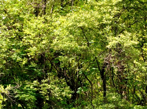 潍坊生活垃圾处理厂电话